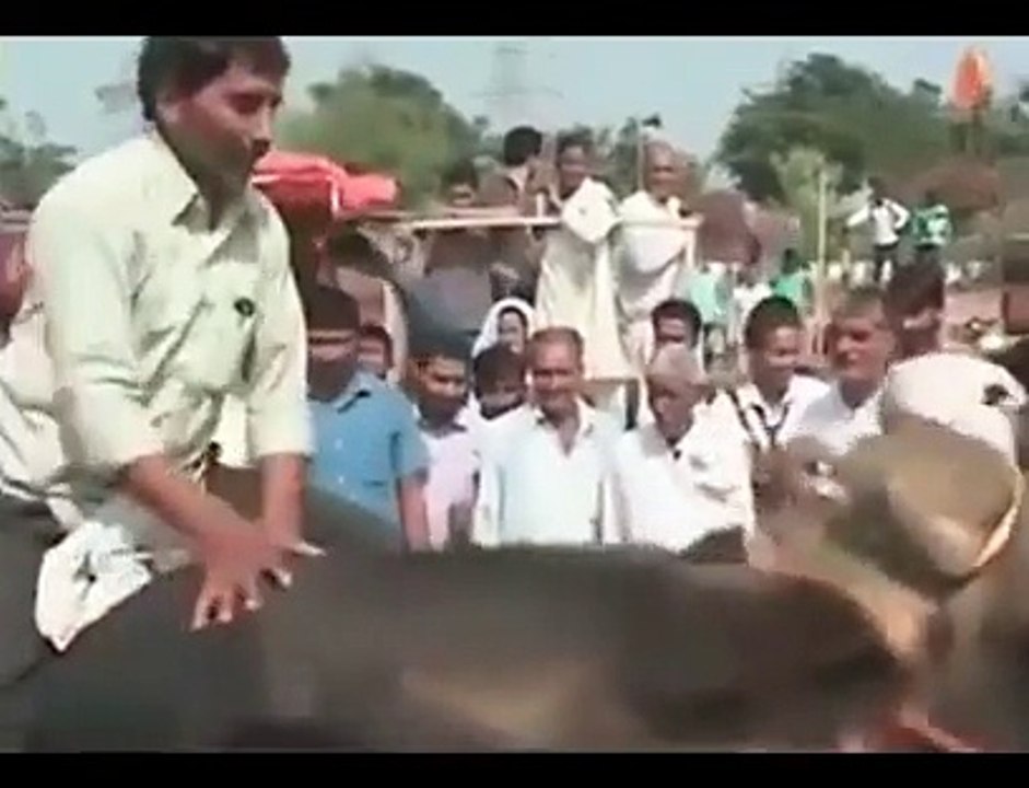 Buffalo and  man between love