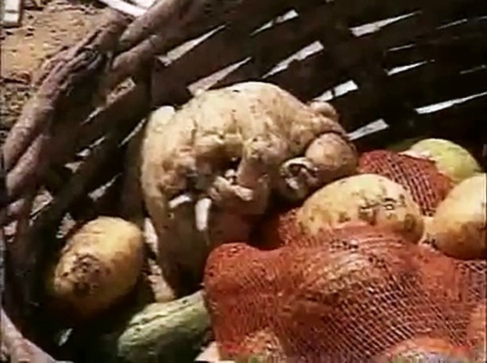 "Boca de Lixo" Parte 2 - Eduardo Coutinho