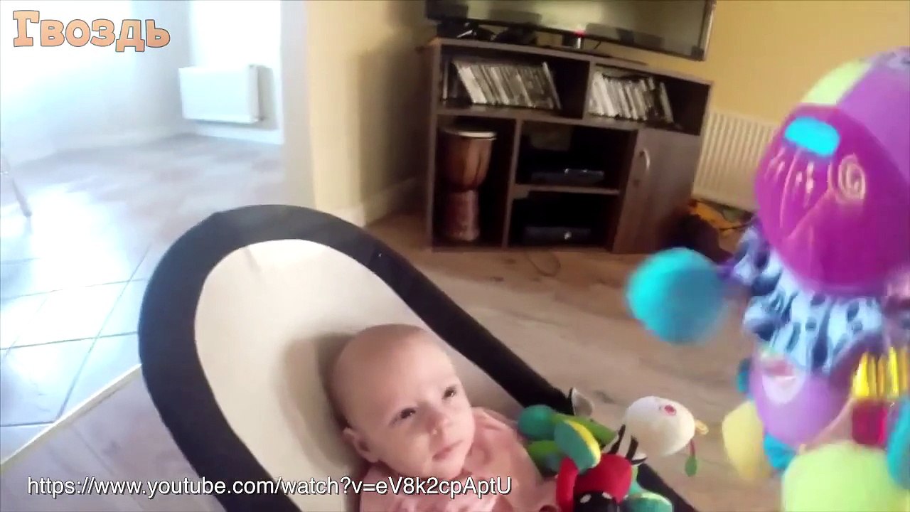 Dogs and Babies