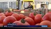 Gaspillage : une entreprise transforme les légumes "moches" en soupes de luxe