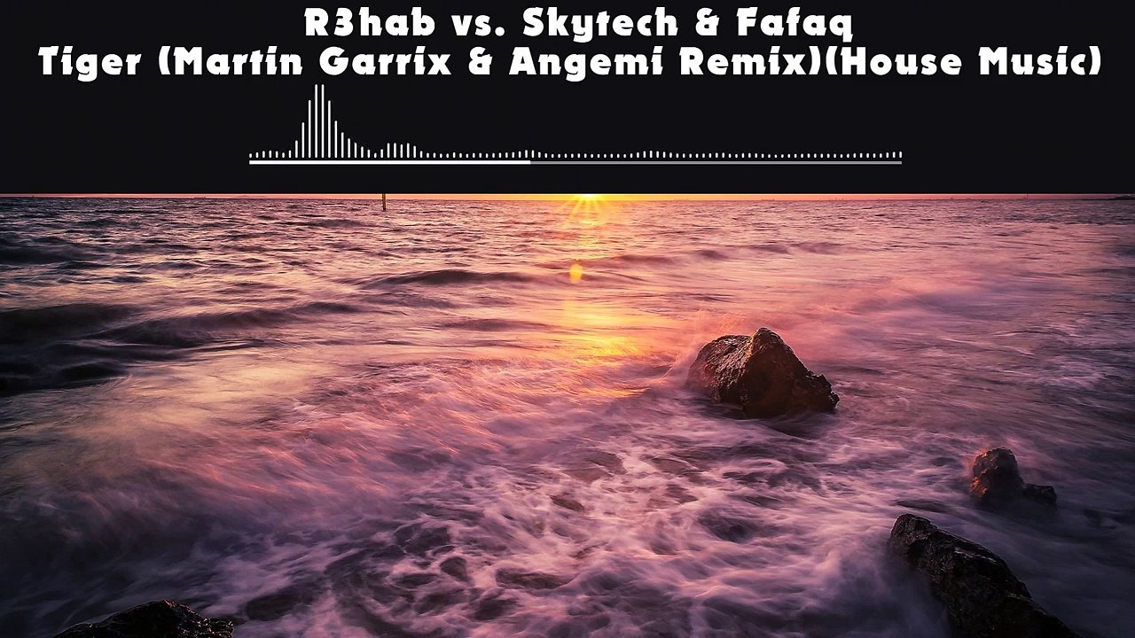 R3hab vs. Skytech & Fafaq - Tiger (Martin Garrix & Angemi Remix) (House Music) [1080p60]
