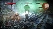 The Witcher 3: Wild hunt NG+ - Long live the king quest Earth elemental boss fight