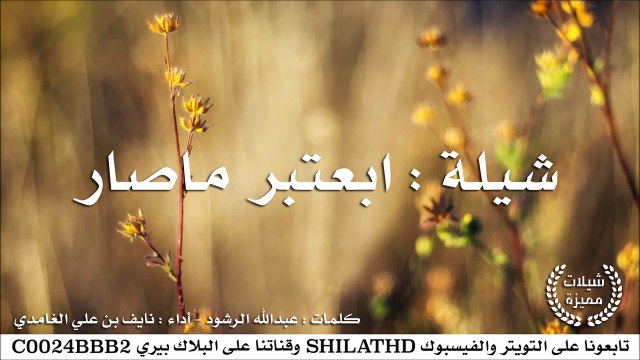 شيلة : ابعتبر ماصار - أداء : نايف بن علي الغامدي | أصلي + مسرع | #شيلات #صوتيات