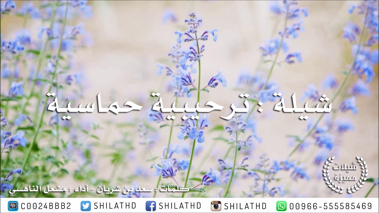 شيلة : ترحيبية حماسية - أداء : مشعل الناهسي | أ...
