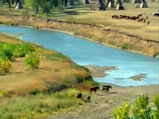 Dances with Wolves ~ You Move Me