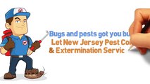 New Jersey Pest Control E&G Exterminators South Amboy (732) 721-6368