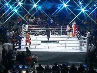 Brock Lesnar vs Min-Soo Kim -