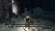 Dark Souls 2: SotFS - Throne Watcher & Throne Defender (SL1; CoC)