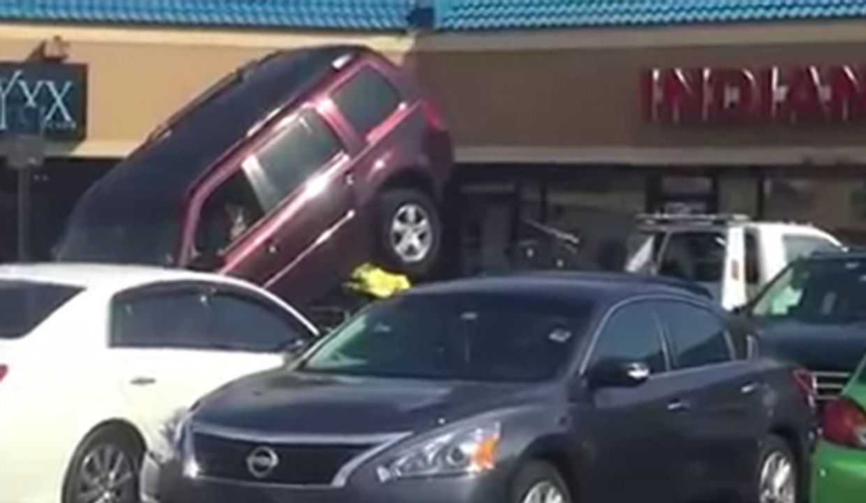 SUV vs Fourrière