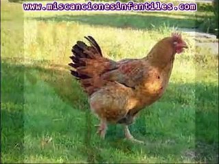 Sonido de los animales   Canciones infantiles60