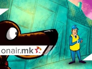 Биди шизик, на зебра мини без ризик