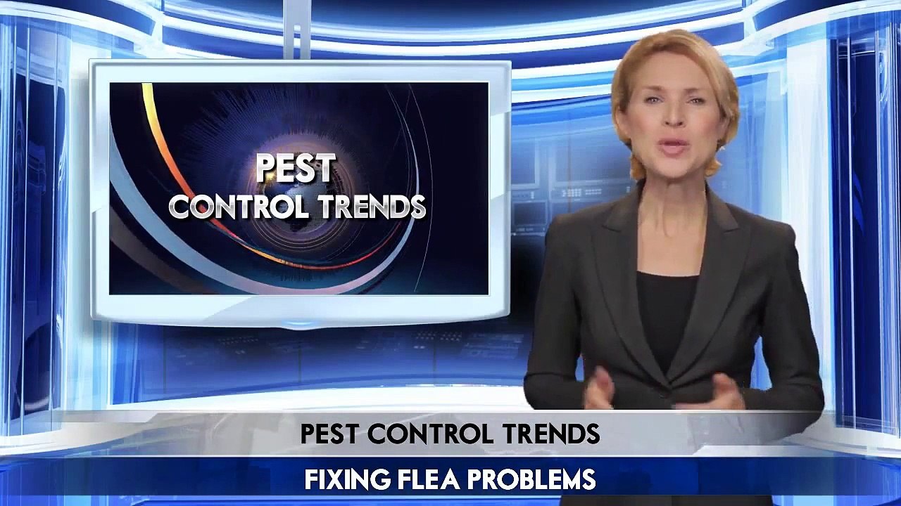 How To Identify Fleas Problems | Universal Pest Control (386) 673-1557