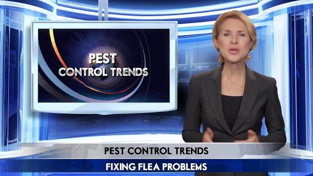 How To Identify Fleas Problems | Universal Pest Control (386) 673-1557