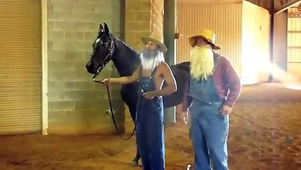 Music City Arabian Horse Show 2010