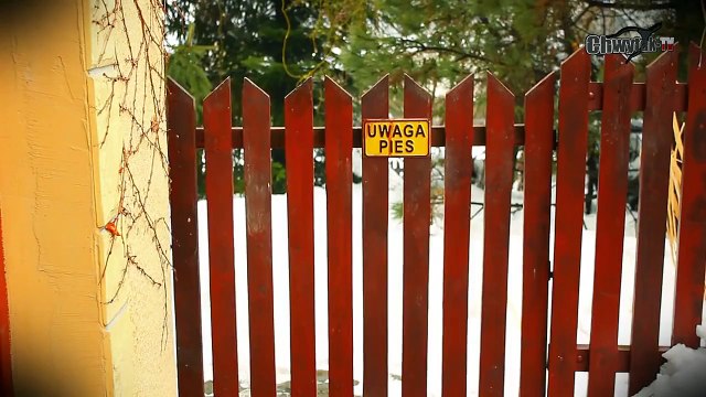 Chwytak & Dj Wiktor - Moja suka ( Weekend - Ona tańczy dla mnie - parodia :)