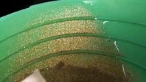 Gold panning. Is that gold?