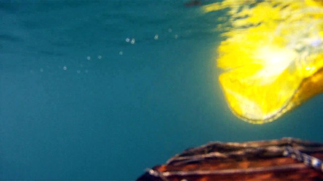 Passeio ao Ubatuba na praia da Enseada, Litoral Norte de São Paulo, Brasil, SUP, em pets reciclados