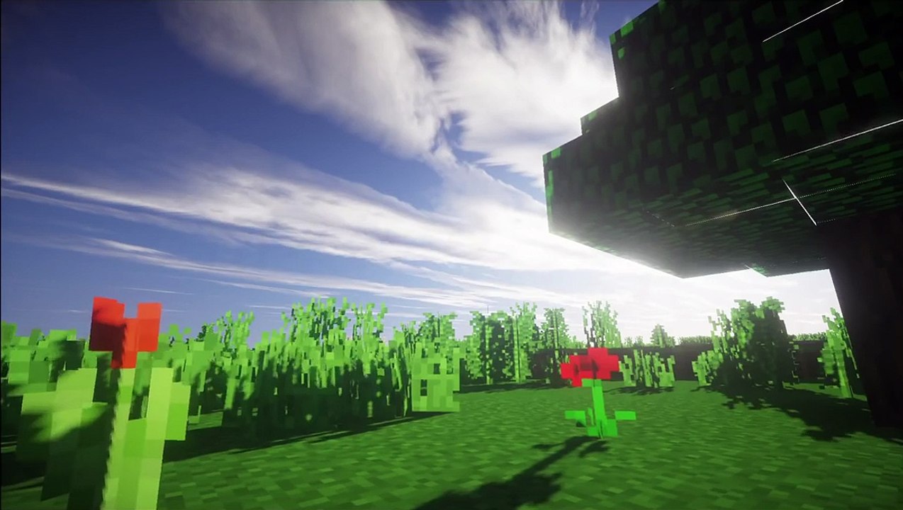 Minecraft Naruto server