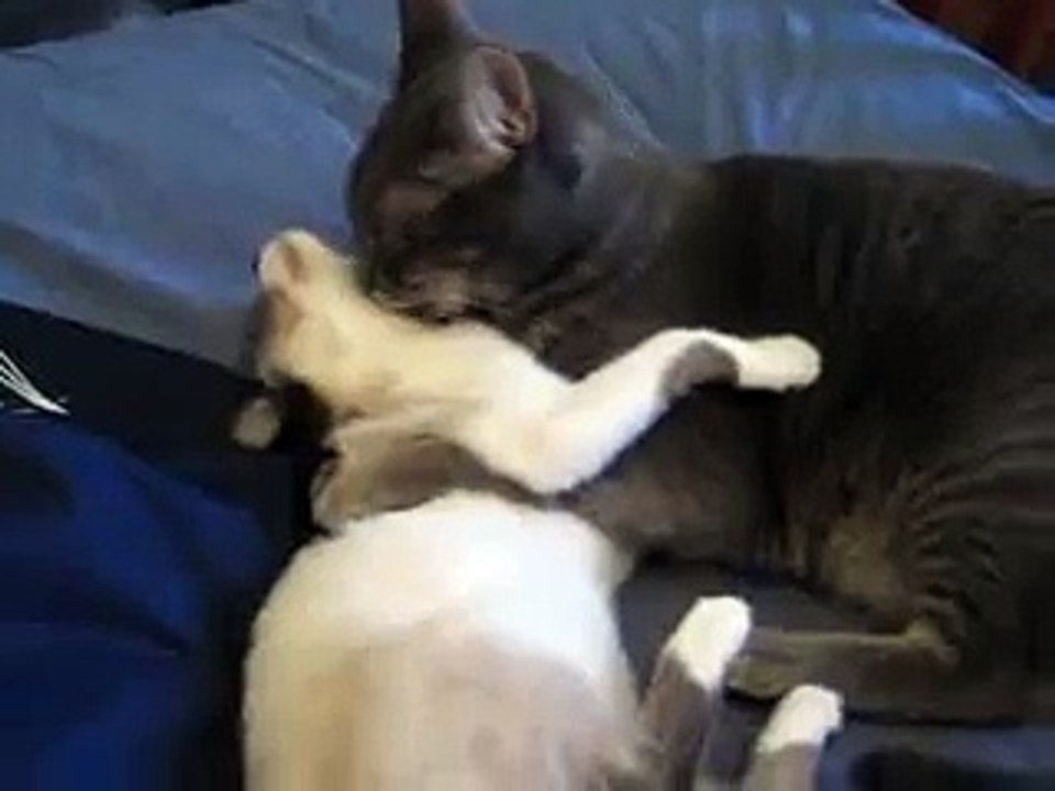 Kizzy and Mikey best buds