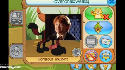 Animal Jam || Harry Potter in Animal Jam