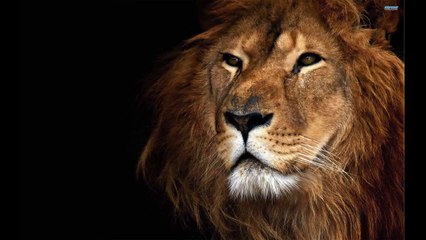 Robin Schulz - Sugar (feat.Francesco Yates) (Unofficial Audio) HQ