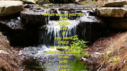 What would you do with your life if you were free to fulfill your heart's desire?