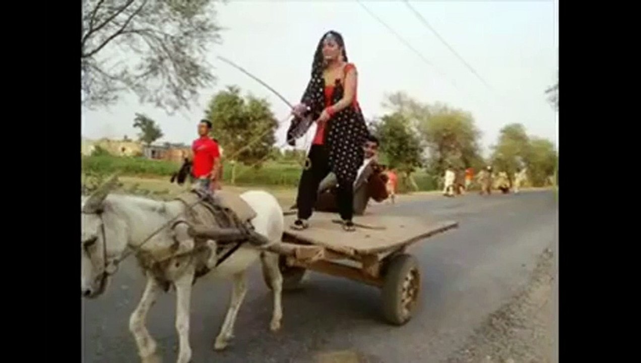 کھوتی ریڑھی دی خوبی