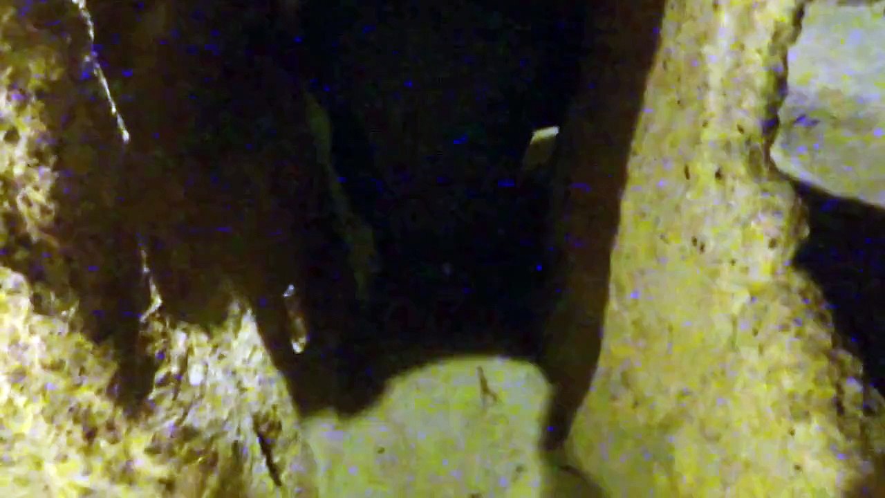 Cappadocia 卡帕多奇亞 - Kaymakli Underground City 卡馬柯爾地下城_4 day 12 - 5 ( Turkey )