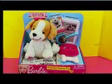 Barbie POOP Dog! Potty Time Training Puppy with Disney Princess Cinderella Toy Review DisneyCarToys