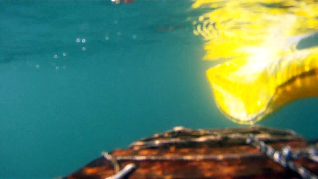 Passeio ao Ubatuba na praia da Enseada, Litoral Norte de São Paulo, Brasil, SUP, em pets reciclados