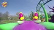 The Cat-O-Pillar Roller Coaster at Paultons Park HD