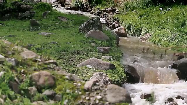 Avenida Larco y los demás estrenos de la semana