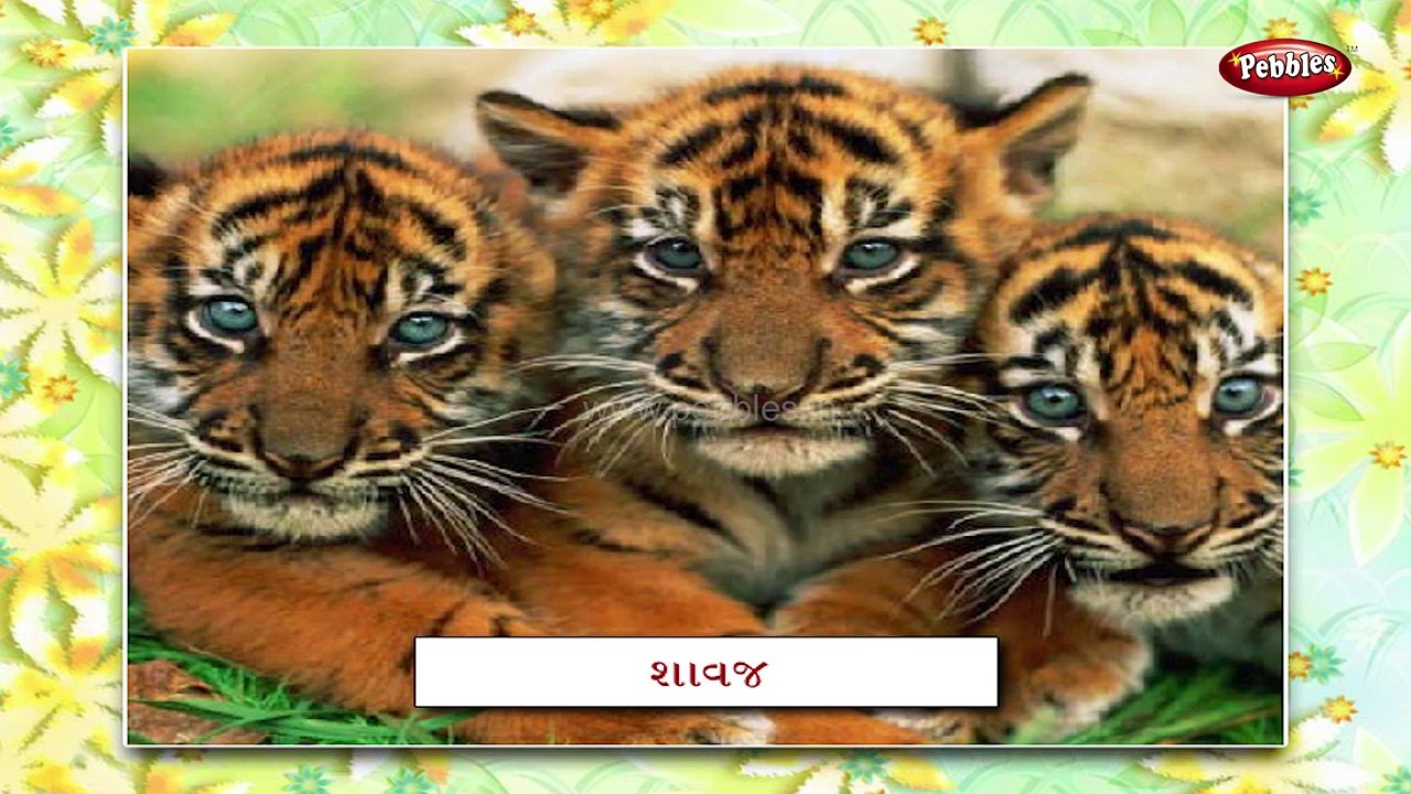 Animal Babies In Gujarati | Learn Gujarati For Kids | Gujarati Grammar | Gujarati For Beginners