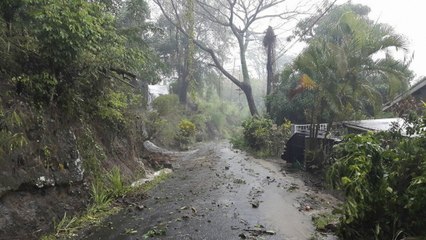 Video herunterladen: Social video captures flooding in Dominica from Tropical Storm Erika