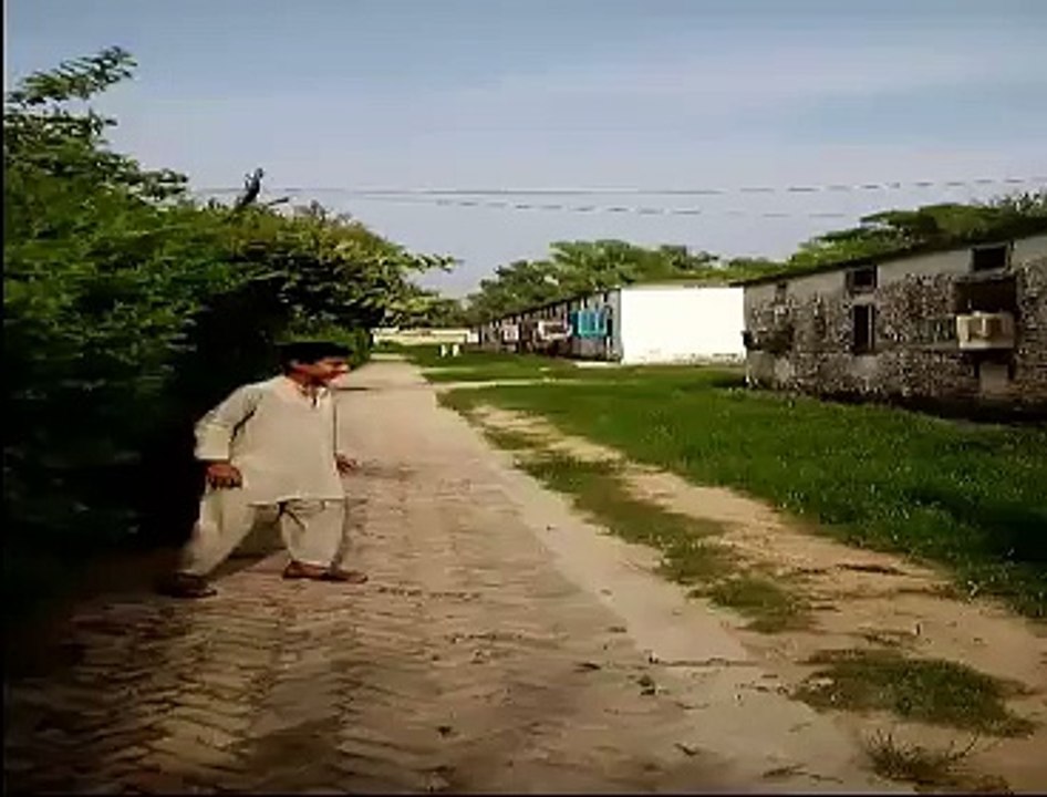 mallangi.mp4