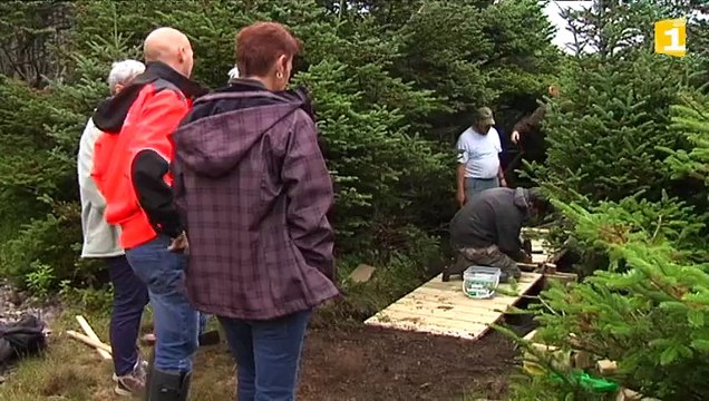 Des chantiers d'insertion pour aménager les sentiers pédestres