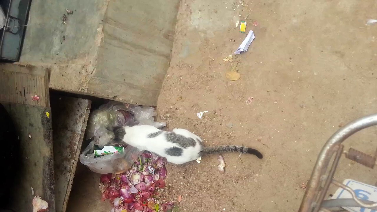 20150814_143456.mp4