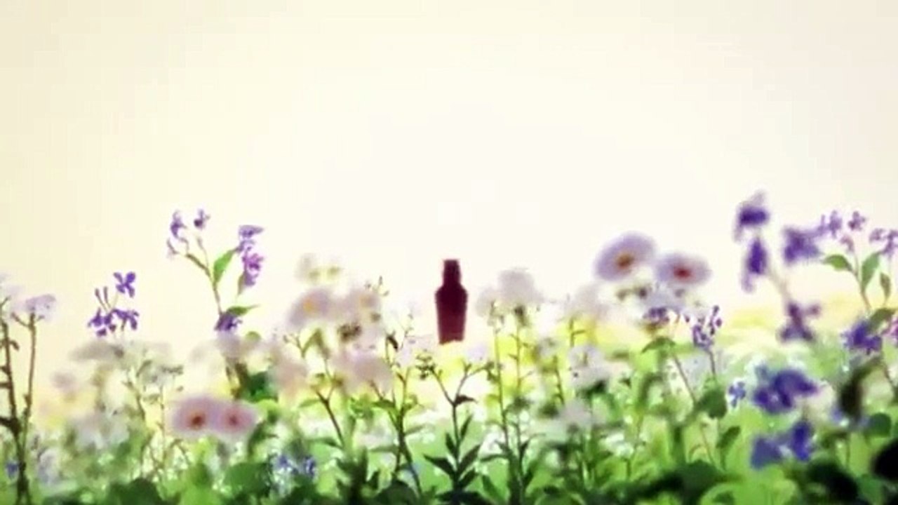 Wolf Children AMV - The Story