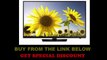 PREVIEW Samsung UN40H4005 40-Inch  | led smart tv sale | 40 smart tv | samsung tv 40 smart