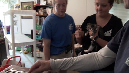 The Sad Loss Of Journey The Rehab Baby Bobcat