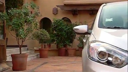 Al fin se casaron!   Matriarcas