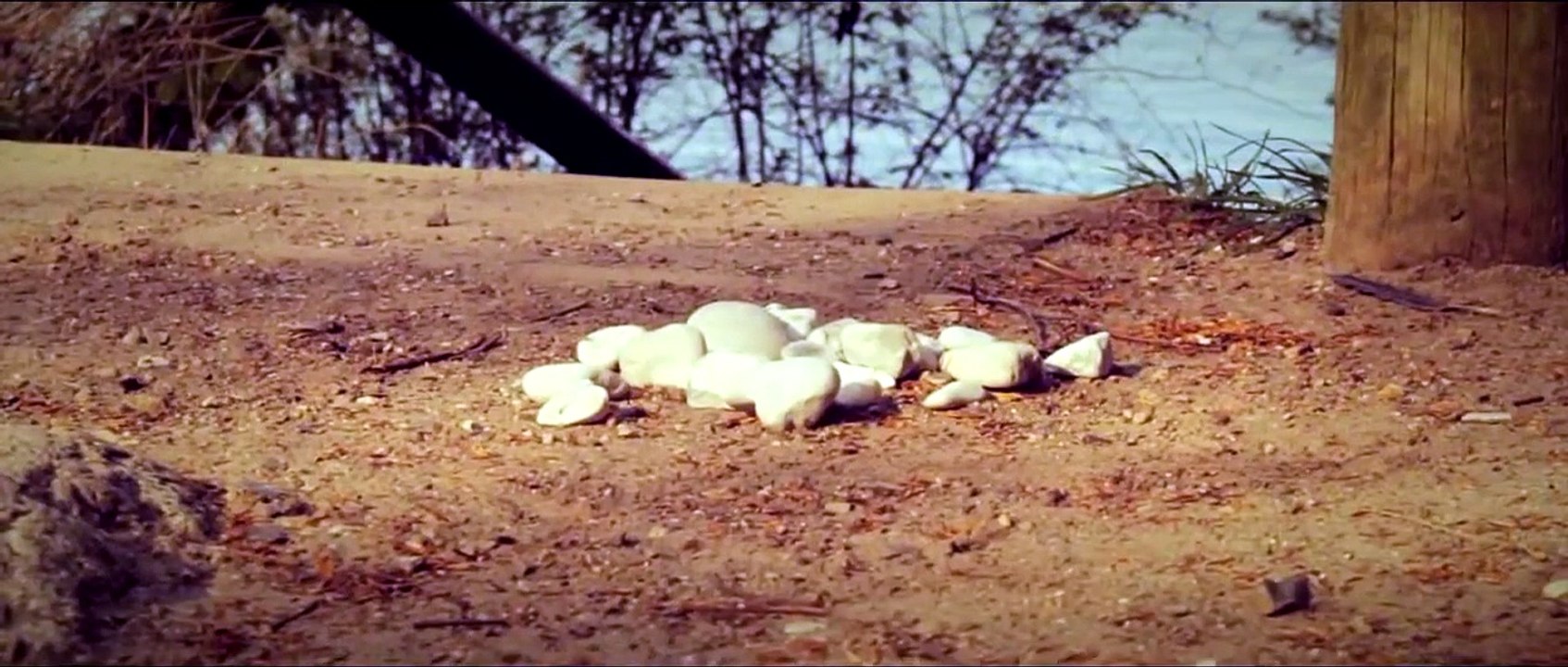 Be Able to Sacrifice What You Are for What You Want to Be