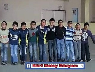 AMED YÖRESİ MİNİKLER HALAY