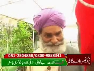 New Funny POTHWARI DRAMA 2015 Do DAZ SaDa DAZ DAZ DAZ 11