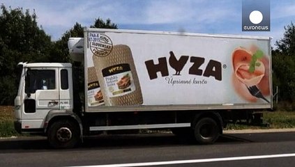 Avusturya'da terk edilmiş bir kamyonda onlarca göçmenin cesedi bulundu
