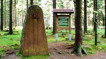 Wandern Thüringer Wald: Rennsteig bei Oberhof