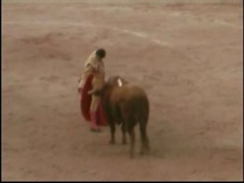 Sebastien Castella Arles (suite)