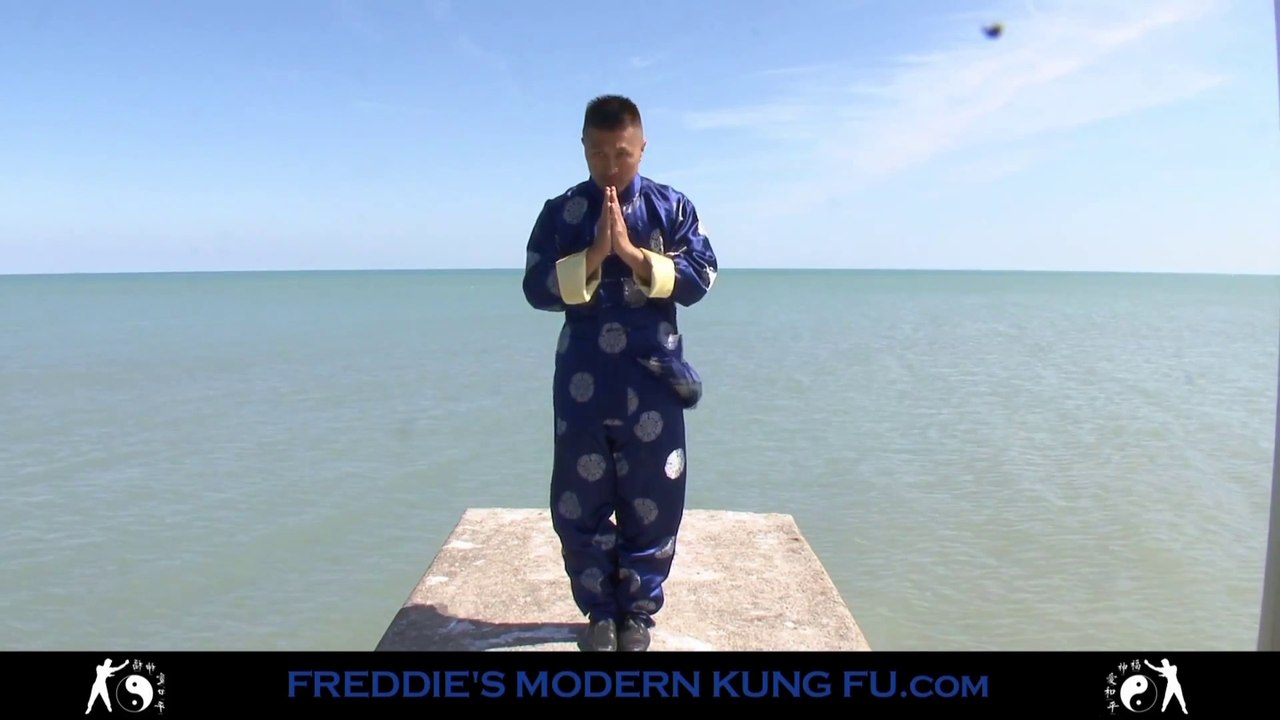 Zen Martial Arts - TAO OF FREDDIE'S MODERN KUNG FU