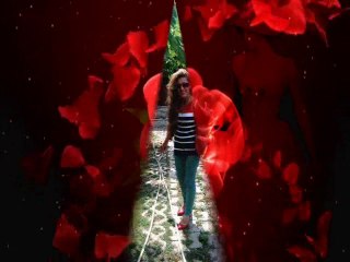 SEYFİ DOĞANAY BİR ÇARE DÜŞÜN