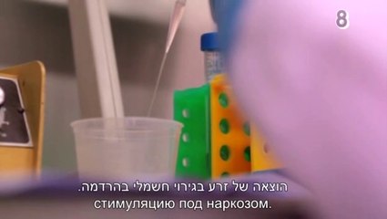 הסרט זרע קודש לצפיה
